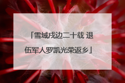 雪域戍边二十载 退伍军人罗凯光荣返乡