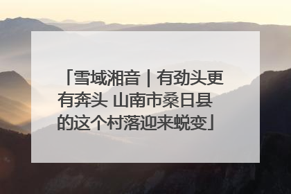 雪域湘音｜有劲头更有奔头 山南市桑日县的这个村落迎来蜕变
