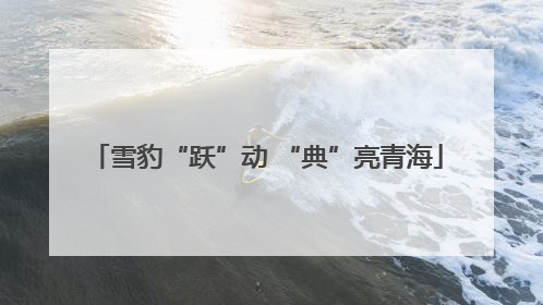 雪豹“跃”动 “典”亮青海