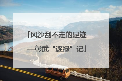 风沙刮不走的足迹——彰武“逐绿”记
