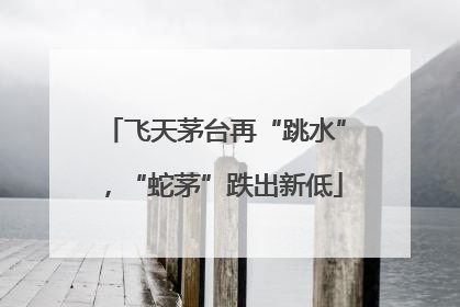 飞天茅台再“跳水”，“蛇茅”跌出新低