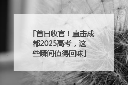 首日收官！直击成都2025高考，这些瞬间值得回味