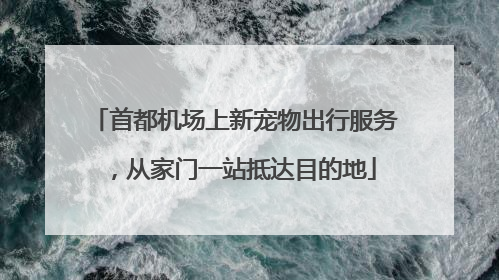 首都机场上新宠物出行服务，从家门一站抵达目的地