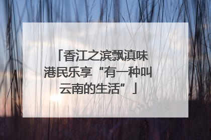 香江之滨飘滇味 港民乐享“有一种叫云南的生活”