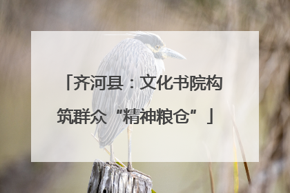 齐河县：文化书院构筑群众“精神粮仓”