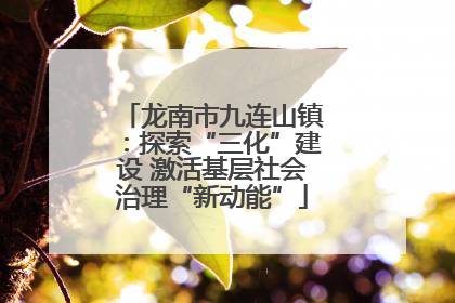 龙南市九连山镇：探索“三化”建设 激活基层社会治理“新动能”