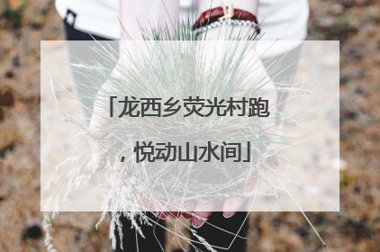 龙西乡荧光村跑，悦动山水间