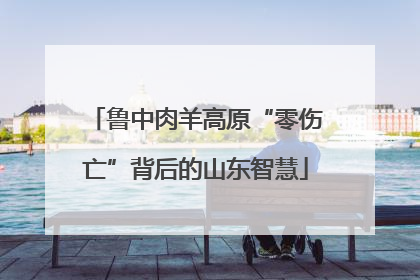 鲁中肉羊高原“零伤亡”背后的山东智慧