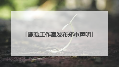 鹿晗工作室发布郑重声明