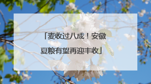 麦收过八成！安徽夏粮有望再迎丰收