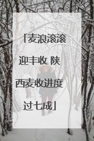 麦浪滚滚迎丰收 陕西麦收进度过七成