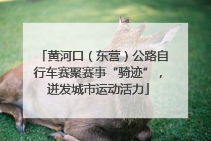 黄河口（东营）公路自行车赛聚赛事“骑迹”，迸发城市运动活力