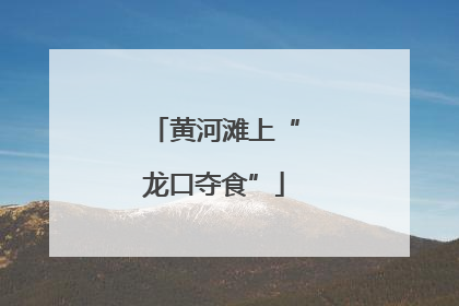 黄河滩上“龙口夺食”