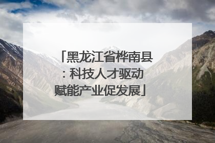 黑龙江省桦南县：科技人才驱动 赋能产业促发展