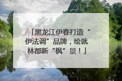 黑龙江伊春打造“伊法调”品牌，绘就林都新“枫”景！