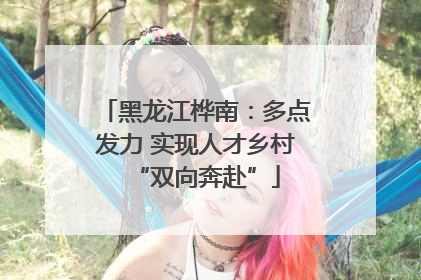 黑龙江桦南：多点发力 实现人才乡村“双向奔赴”
