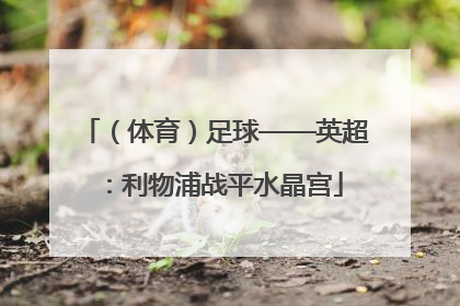 （体育）足球——英超：利物浦战平水晶宫