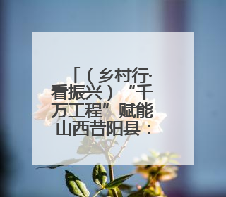（乡村行·看振兴）“千万工程”赋能山西昔阳县：人居环境与村民收入“双提升”