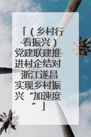 （乡村行·看振兴）党建联建推进村企结对 浙江遂昌实现乡村振兴“加速度”