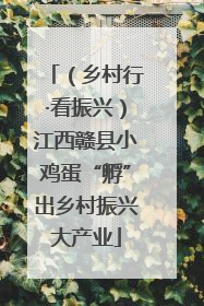 （乡村行·看振兴）江西赣县小鸡蛋“孵”出乡村振兴大产业