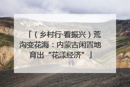 （乡村行·看振兴）荒沟变花海：内蒙古闲置地育出“花漾经济”