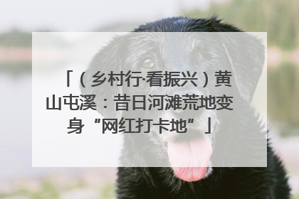 （乡村行·看振兴）黄山屯溪：昔日河滩荒地变身“网红打卡地”