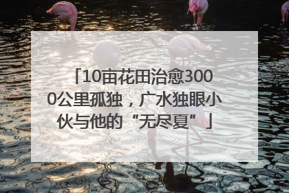 10亩花田治愈3000公里孤独，广水独眼小伙与他的“无尽夏”