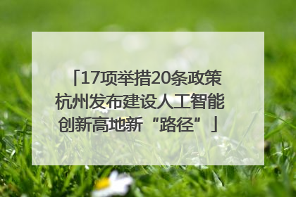 17项举措20条政策 杭州发布建设人工智能创新高地新“路径”