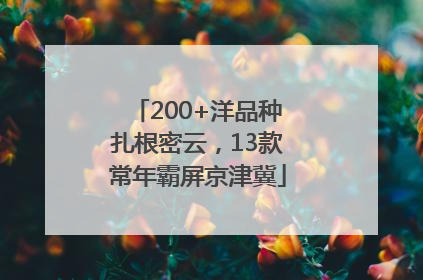 200+洋品种扎根密云，13款常年霸屏京津冀