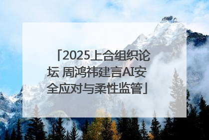 2025上合组织论坛 周鸿祎建言AI安全应对与柔性监管