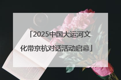2025中国大运河文化带京杭对话活动启幕