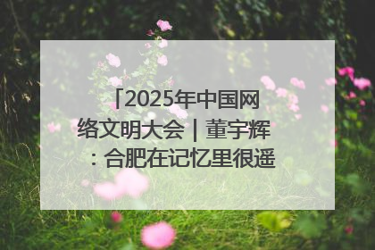 2025年中国网络文明大会｜董宇辉：合肥在记忆里很遥远也很亲切