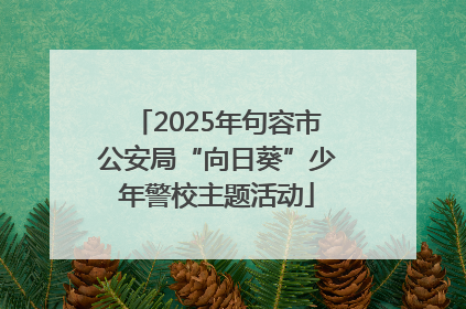 2025年句容市公安局“向日葵”少年警校主题活动