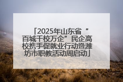 2025年山东省“百城千校万企”民企高校携手促就业行动暨潍坊市职教活动周启动