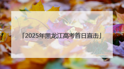2025年黑龙江高考首日直击