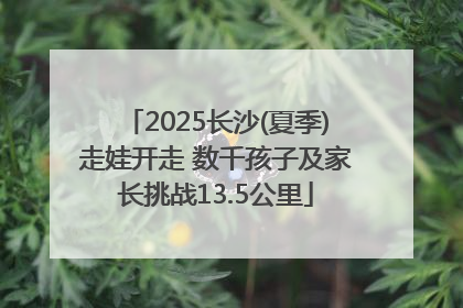 2025长沙(夏季)走娃开走 数千孩子及家长挑战13.5公里
