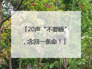 20声“不要睡”，念回一条命！
