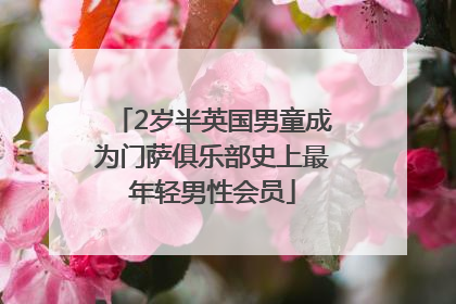 2岁半英国男童成为门萨俱乐部史上最年轻男性会员