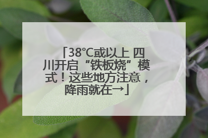 38℃或以上 四川开启“铁板烧”模式！这些地方注意，降雨就在→