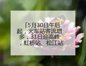 5月30日午后起，火车站客流增多，31日迎高峰，虹桥站、松江站有儿童节和端午亲子活动
