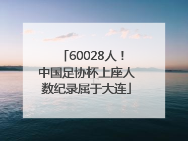 60028人！中国足协杯上座人数纪录属于大连