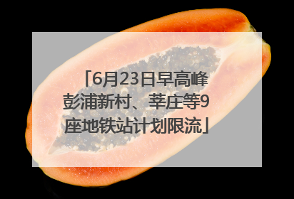 6月23日早高峰彭浦新村、莘庄等9座地铁站计划限流