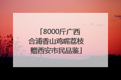 8000斤广西合浦香山鸡嘴荔枝赠西安市民品鉴