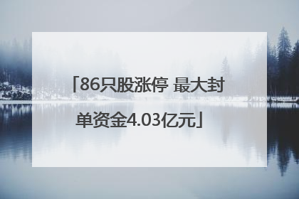 86只股涨停 最大封单资金4.03亿元