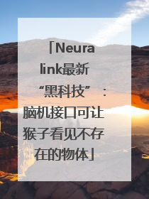 Neuralink最新“黑科技”：脑机接口可让猴子看见不存在的物体