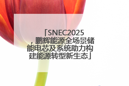 SNEC2025，鹏辉能源全场景储能电芯及系统助力构建能源转型新生态